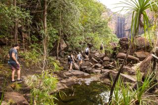 Kakadu & Top End