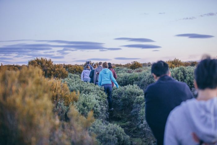 Walk Tasmania: the 5 best hiking trails in the...