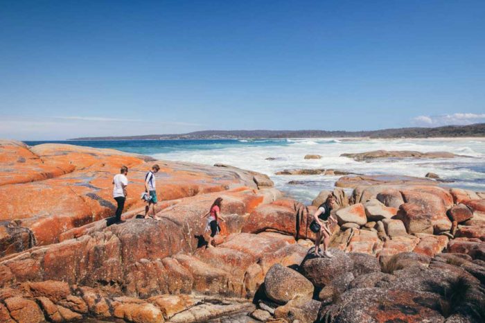 Behind the scenes on a Tasmania group tour