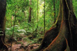 Queensland