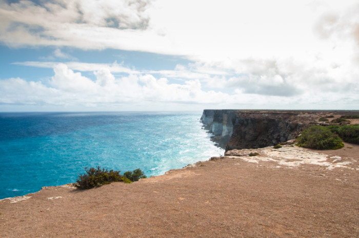 Whale watching on the Eyre Peninsula: our...
