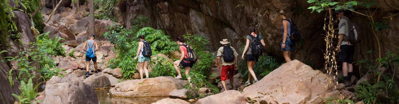 Group walking through rainforest in Western Australia