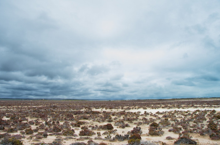 Meet the couple that crossed the Nullarbor in...