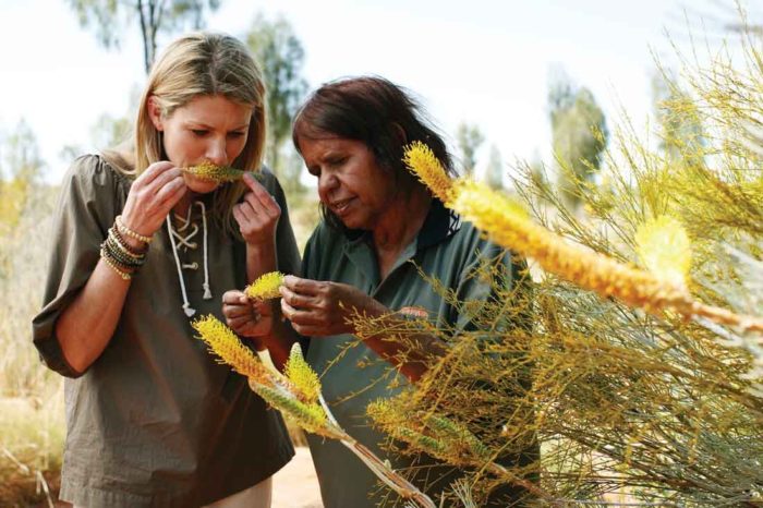 Can I eat that? A rough guide to Aussie bush...