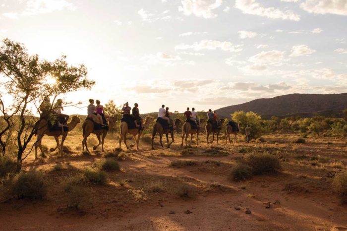 Traveller stories: Riding camels in the Outback