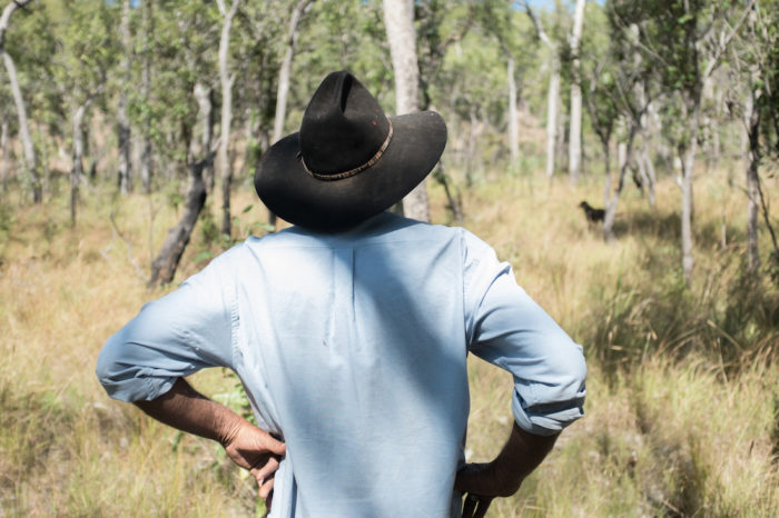 Sustainable tourism and the future of Northern...