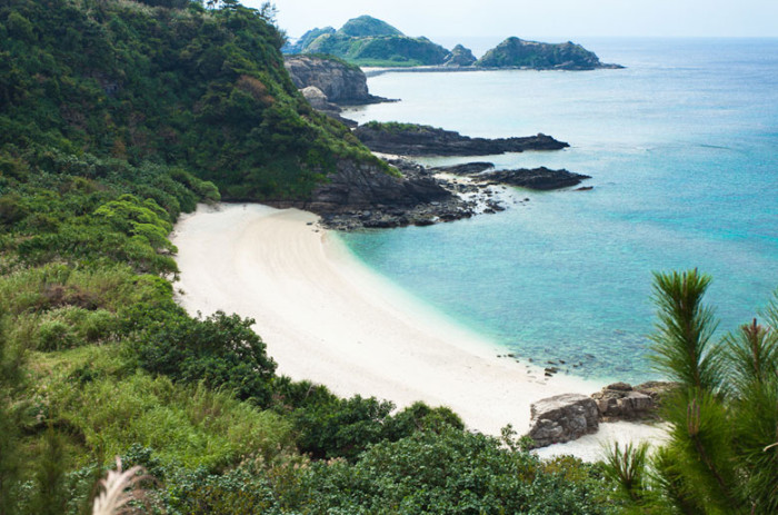 4 times Australia sucked at being ugly