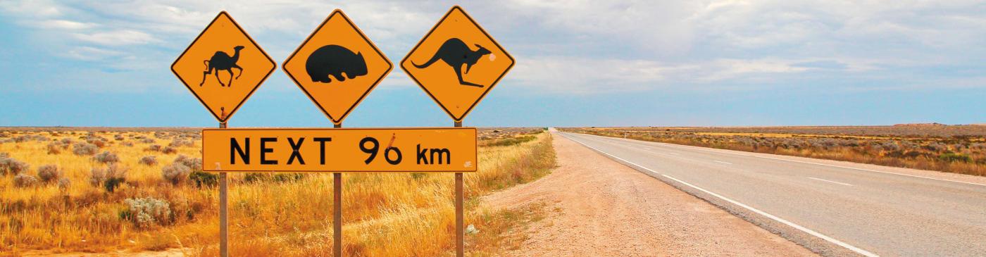 South Australia Nullarbor Animal Sign