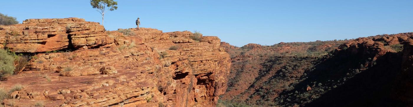 The Australian Outback - Kings Canyon