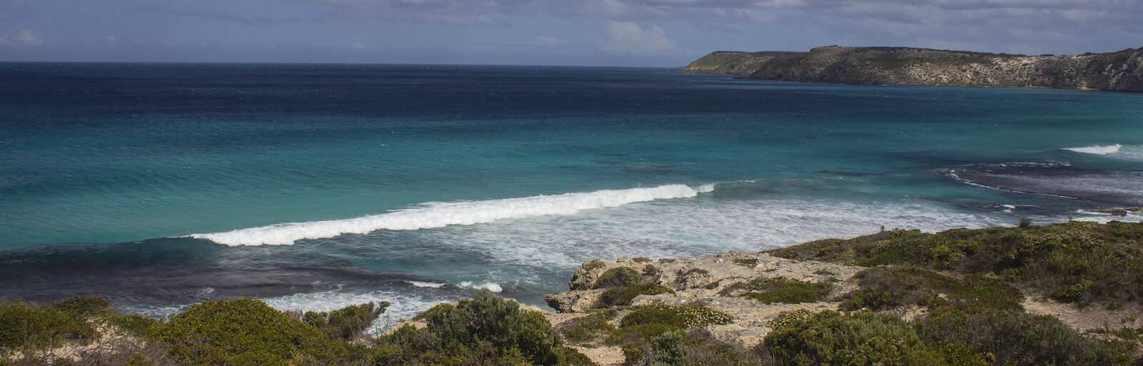 Intrepid Travel-Adventure Tours Australia-Australia-Kangaroo-island-IMG_6133