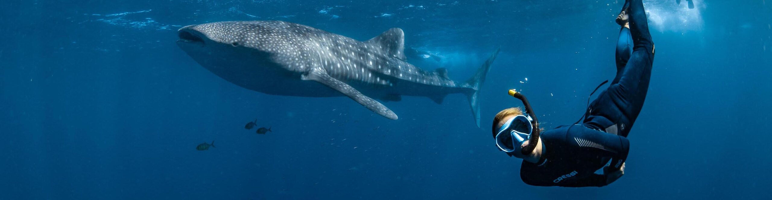 PX7R - Perth to Ningaloo Reef and return